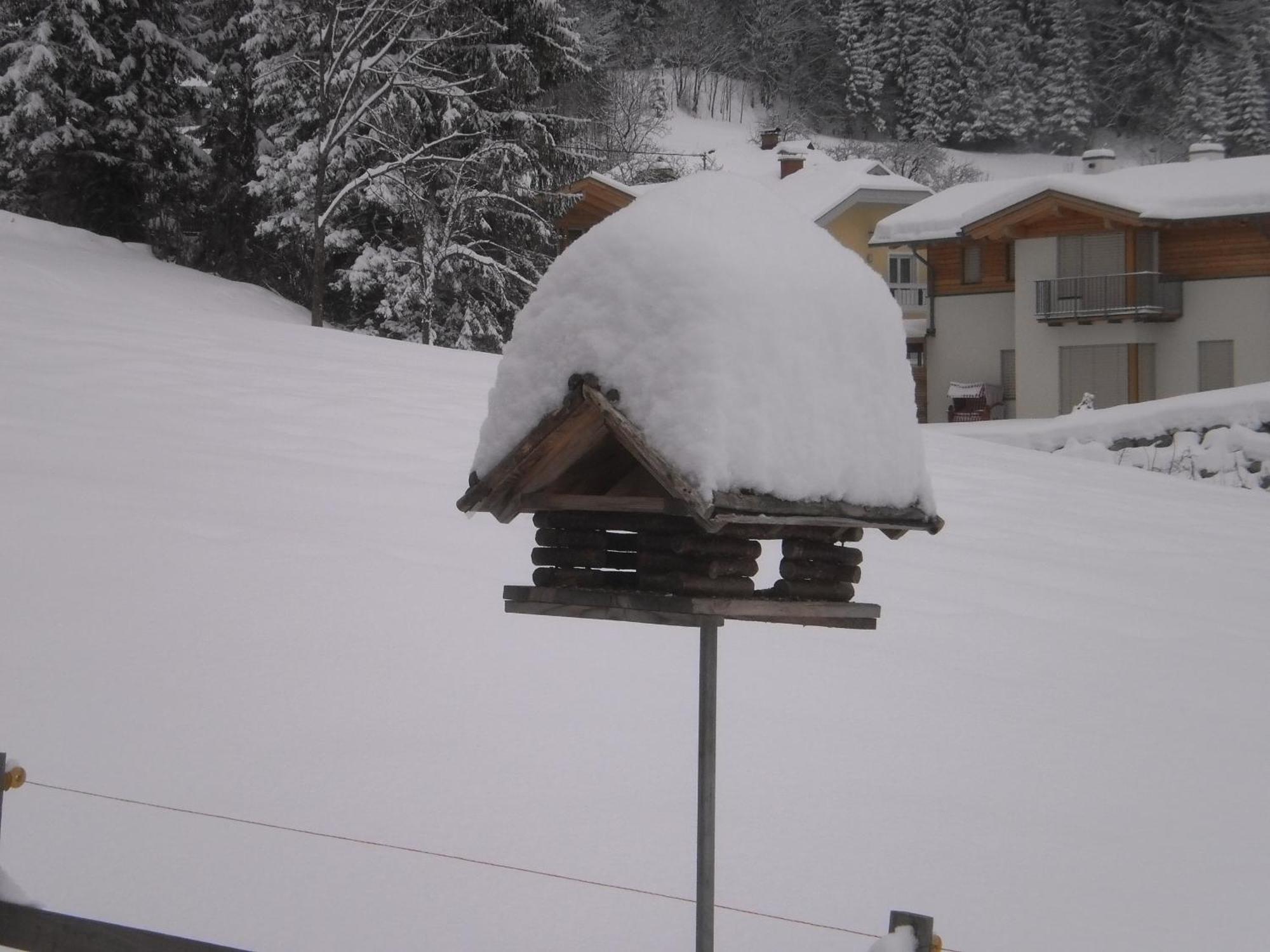 Haus Birke Weissensee Exterior foto
