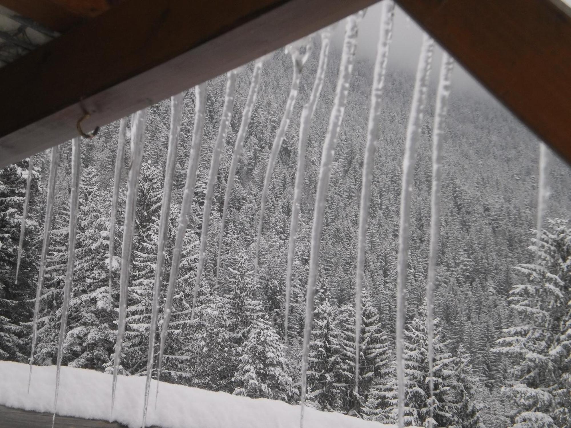 Haus Birke Weissensee Exterior foto