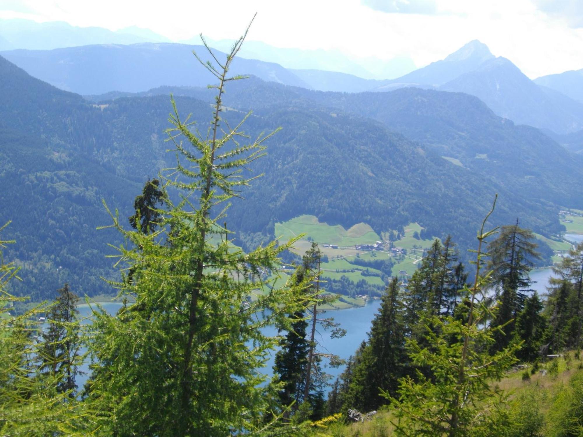 Haus Birke Weissensee Exterior foto